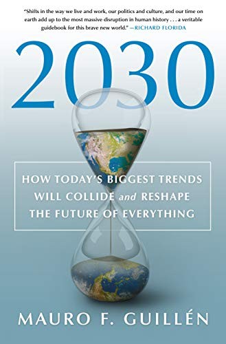 2030 - Book Summary