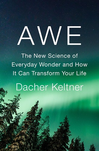 Awe - Book Summary