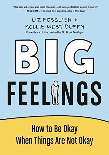 Big Feelings - Book Summary