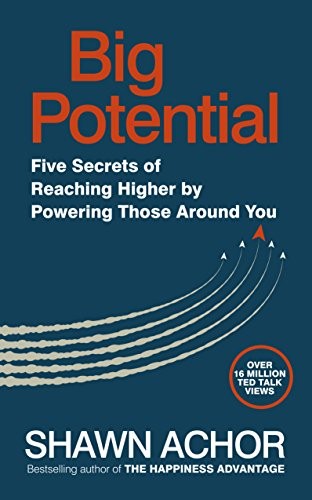 Big Potential - Book Summary