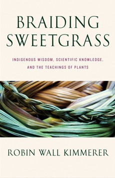 Braiding Sweetgrass - Book Summary