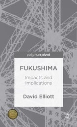 Fukushima - Book Summary