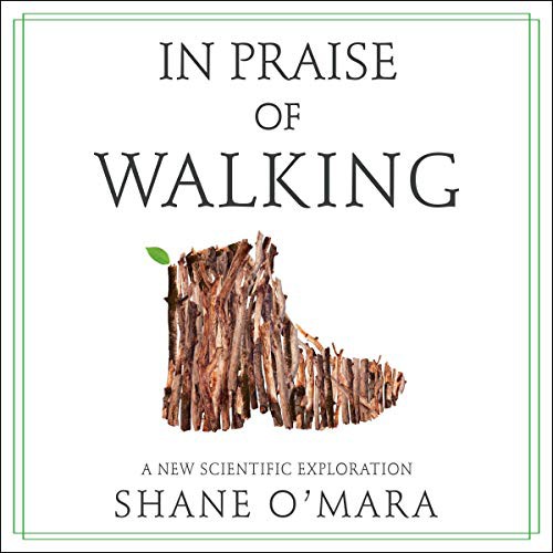 In Praise of Walking - Book Summary