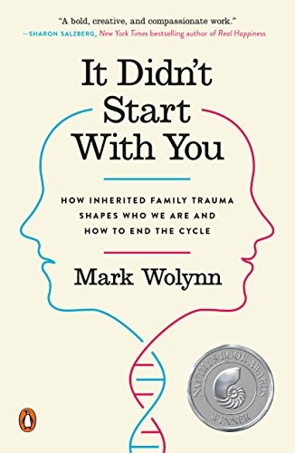 It Didn't Start With You - Book Summary