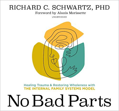 No Bad Parts - Book Summary