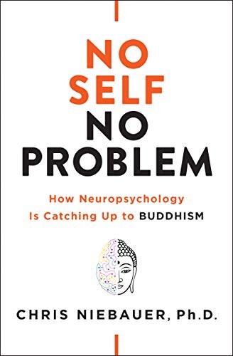 No Self, No Problem - Book Summary