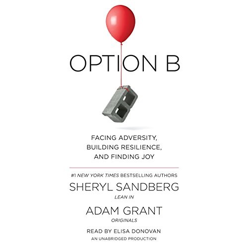 Option B - Book Summary