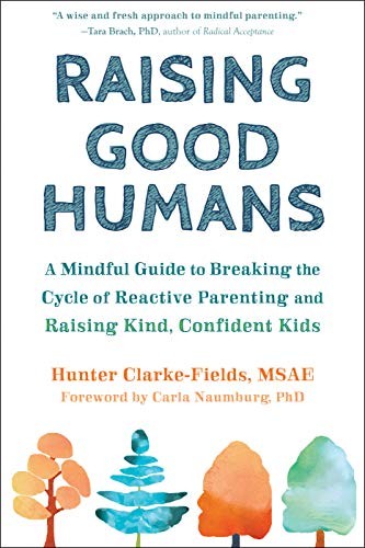 Raising Good Humans - Book Summary