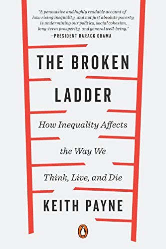 The Broken Ladder - Book Summary