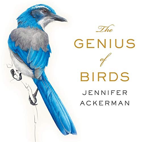 The Genius of Birds - Book Summary