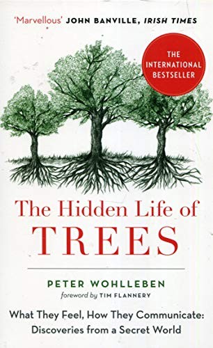 The Hidden Life of Trees - Book Summary