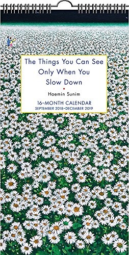 The Things You Can See Only When You Slow Down - Book Summary