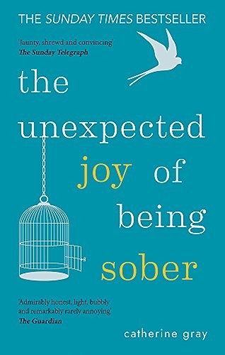 The Unexpected Joy of Being Sober - Book Summary