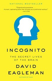 Incognito cover